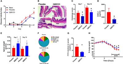 Immune Stimulation Using a Gut Microbe-Based Immunotherapy Reduces Disease Pathology and Improves Barrier Function in Ulcerative Colitis